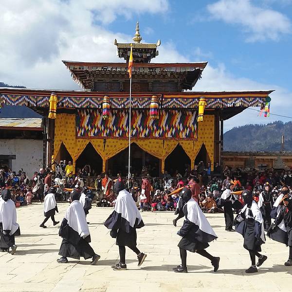 Black-necked Crane Festival