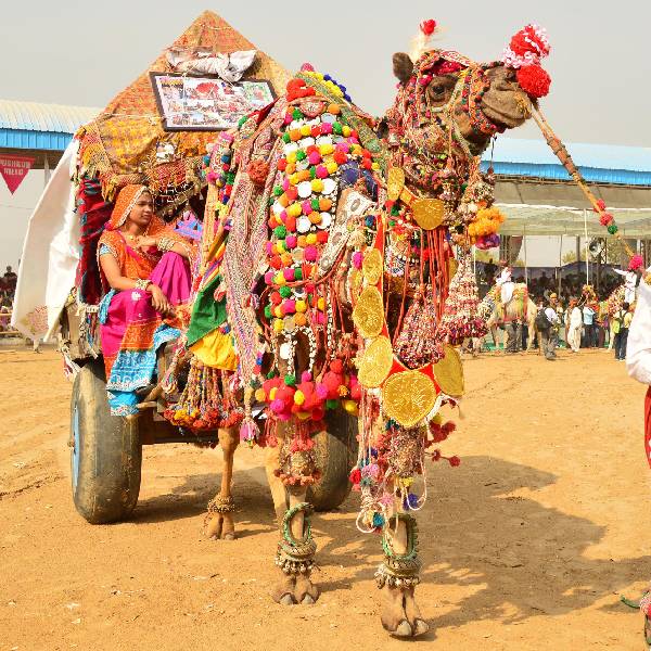 Pushkar Camel Fair
