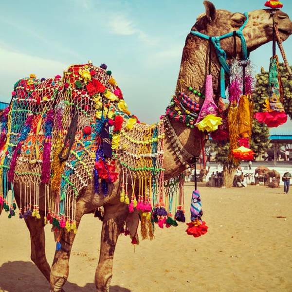 Pushkar Camel Fair