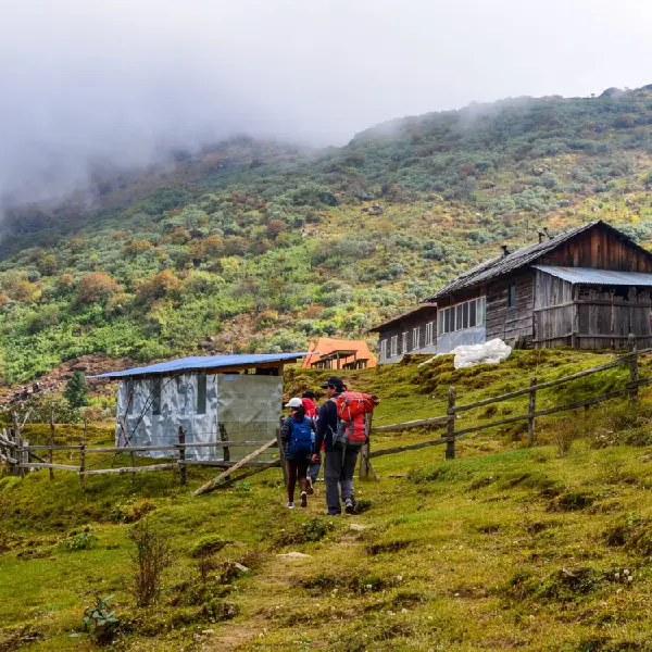 Crossing Mountain Passes and Yak Pastures on the Dagala Trek