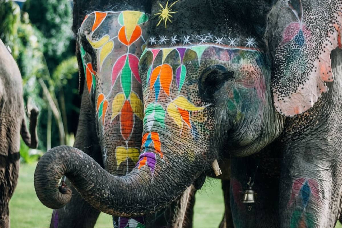 elephant-painting