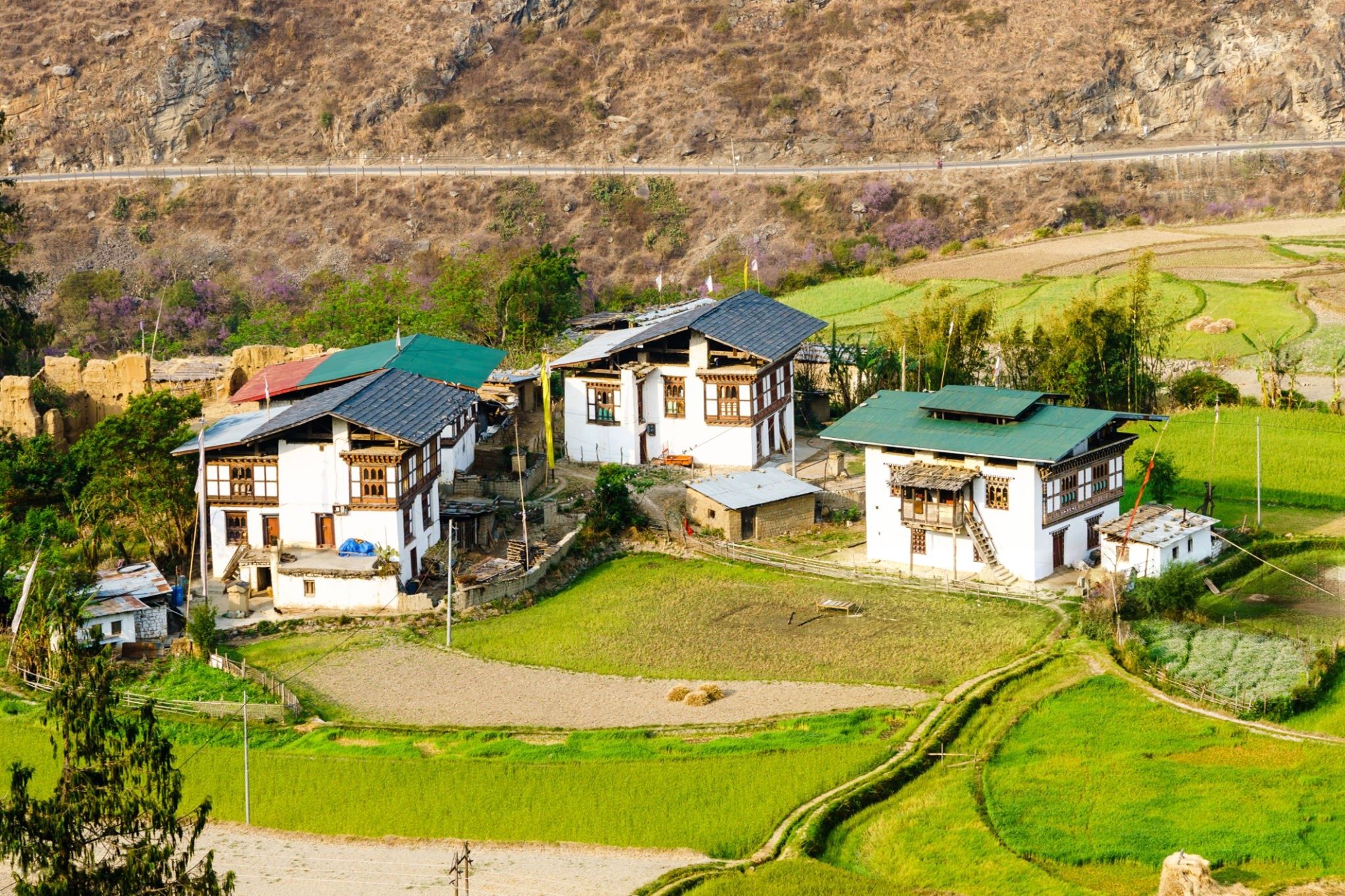 homestay-punakha