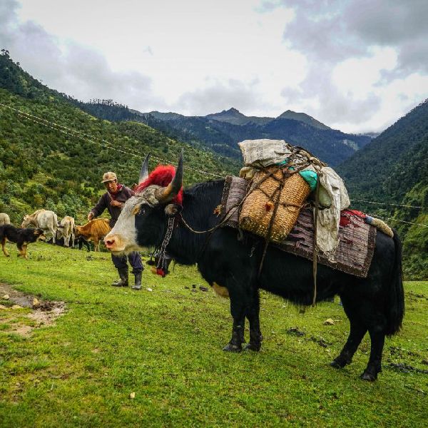 Merak-Sakteng Helicopter Tour – Discover the Untouched Eastern Highlands