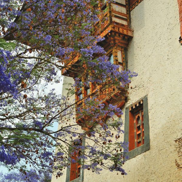 Discover the Cultural Heart of Western Bhutan
