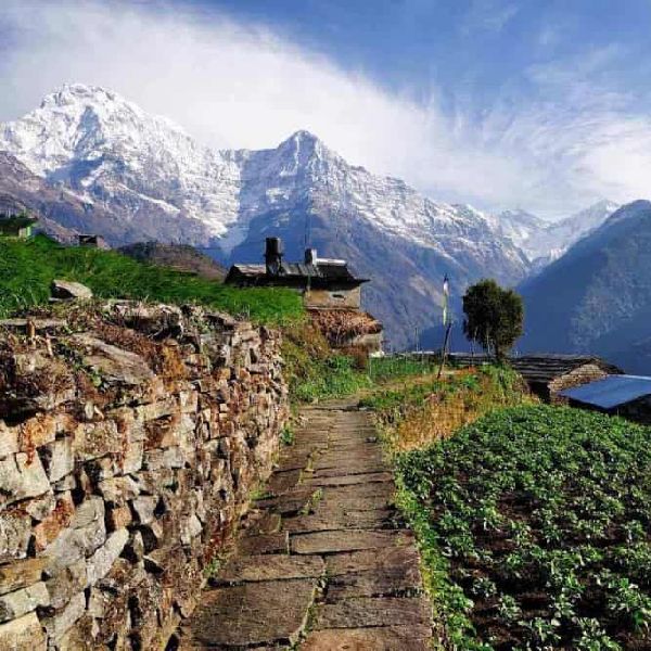Introduction to the Royal Heritage Trek: Bhutan’s Cultural Journey
