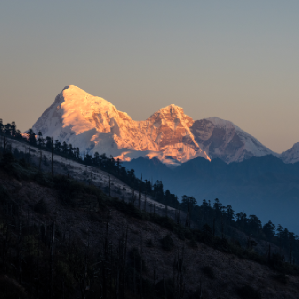 Gangtey – Gogona – Khotokha Trek 8 Night 9 Days