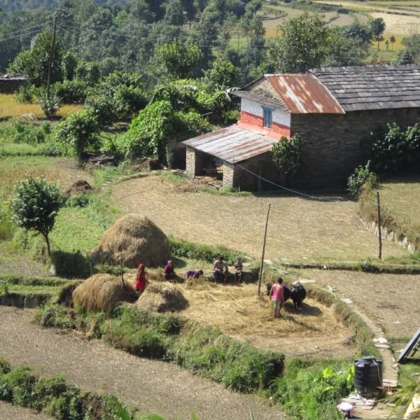 Dhampus Trek 12 Nights 13 Days