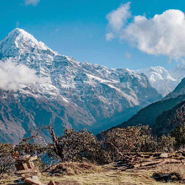 Trek To Mardi Base Camp