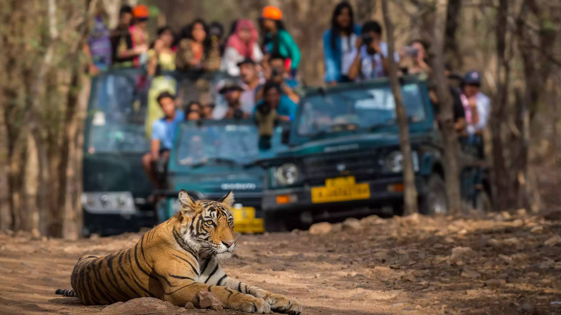 Ranthambore National Park