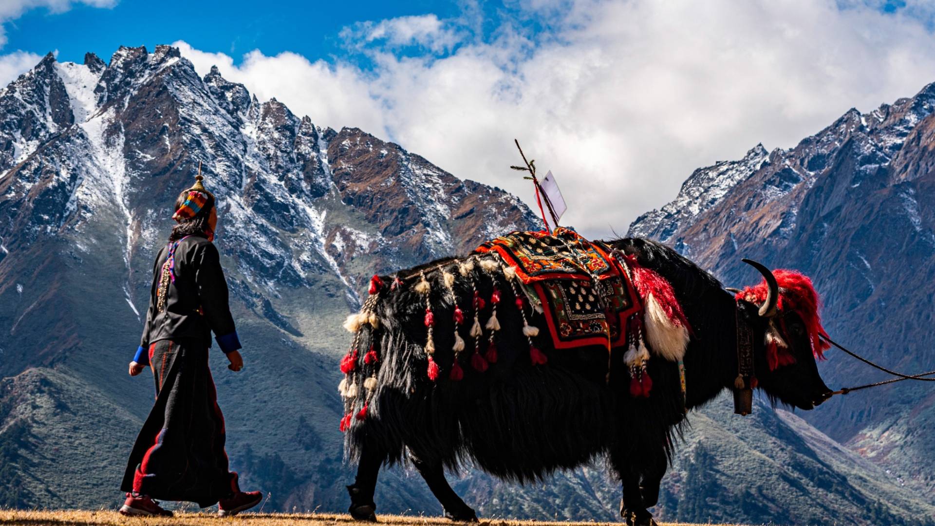 Royal Highland Festival